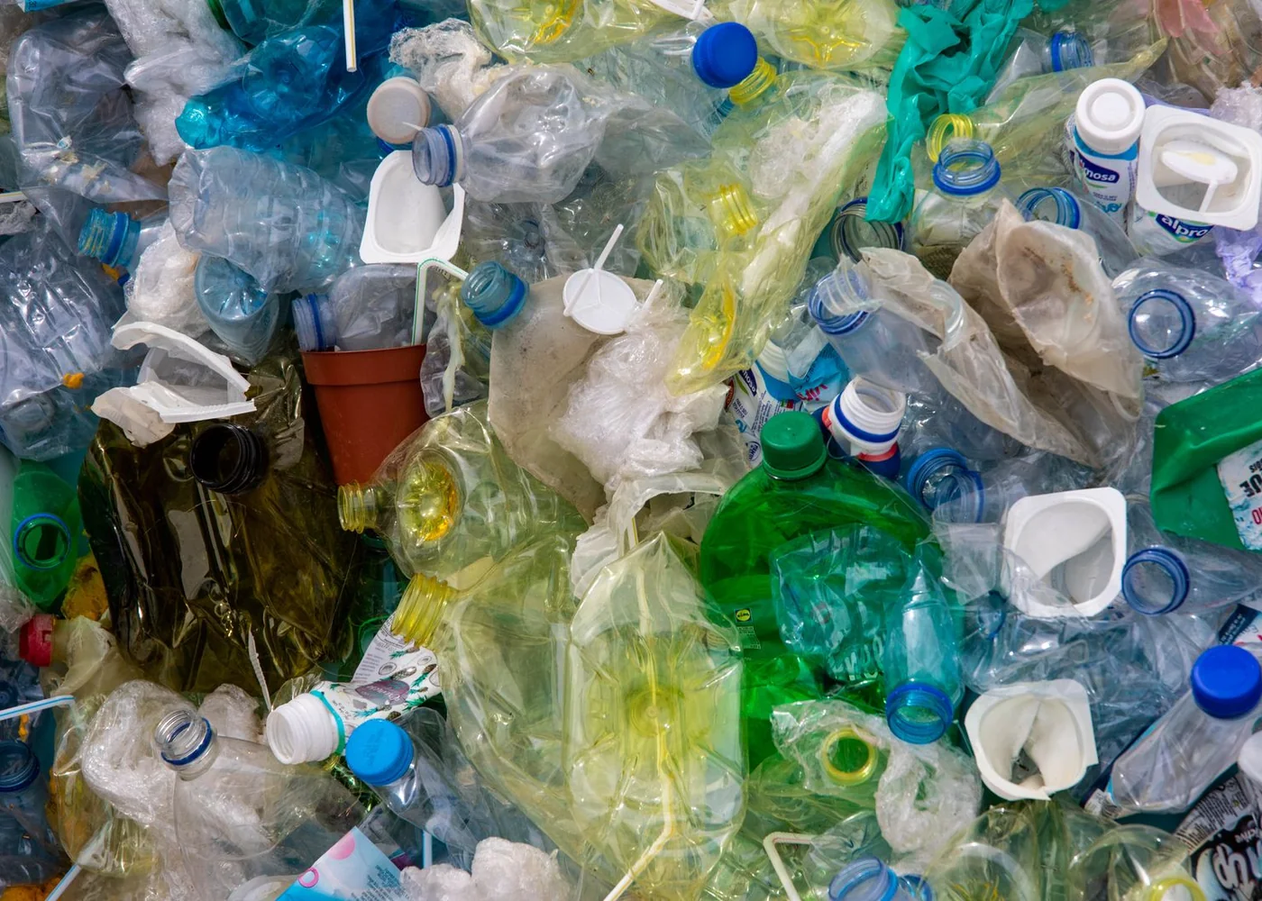 Rigid plastics