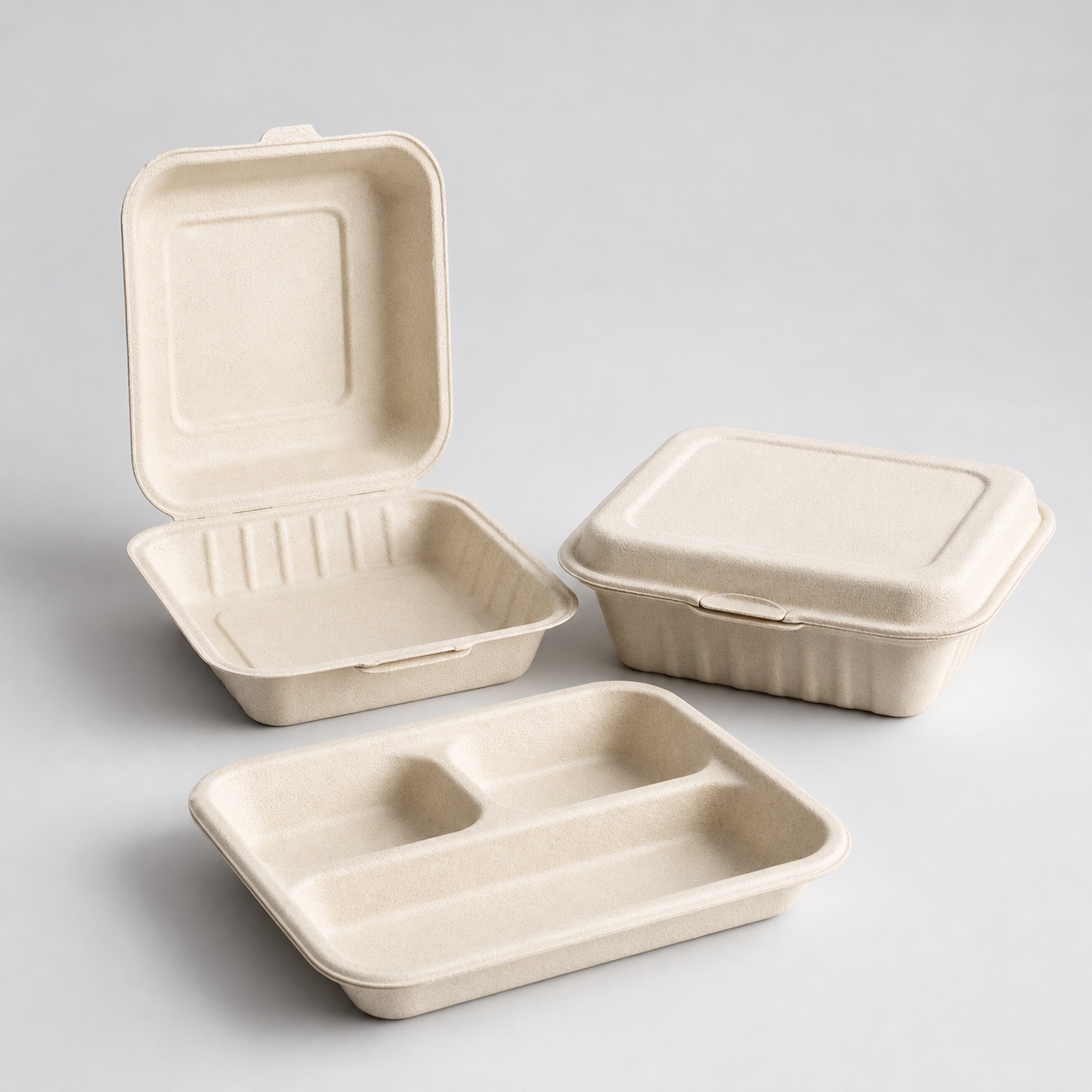 Bagasse Food Containers